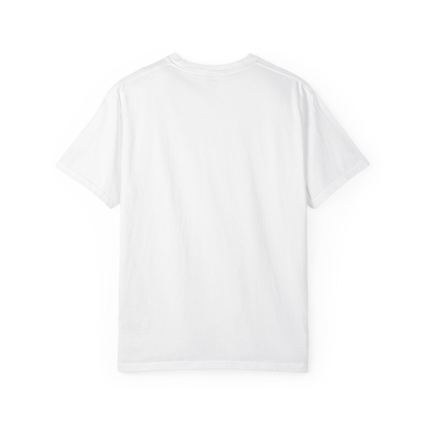 AMESS EST 1995 T-shirt | Minimal Logo Tee